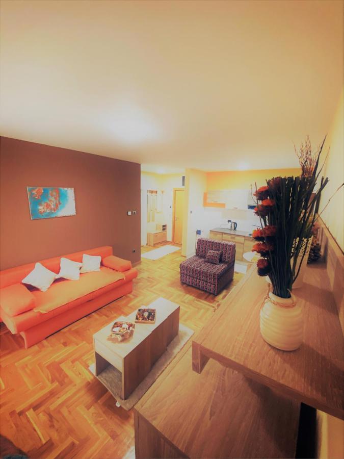 Apartment Vas Raj Nowy Sad Zewnętrze zdjęcie