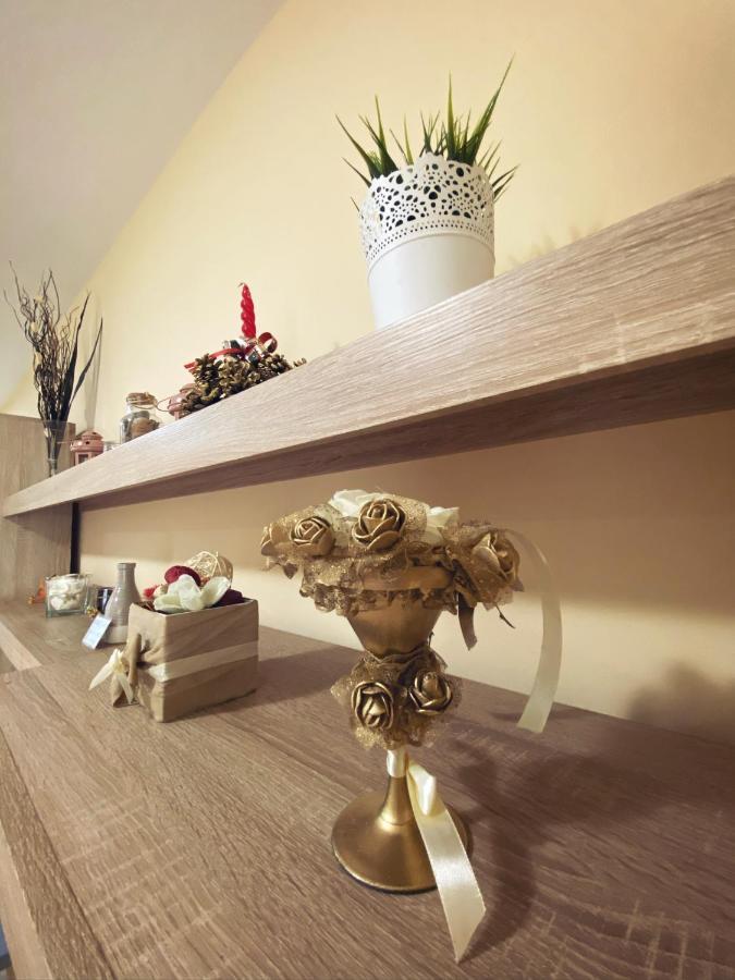 Apartment Vas Raj Nowy Sad Zewnętrze zdjęcie
