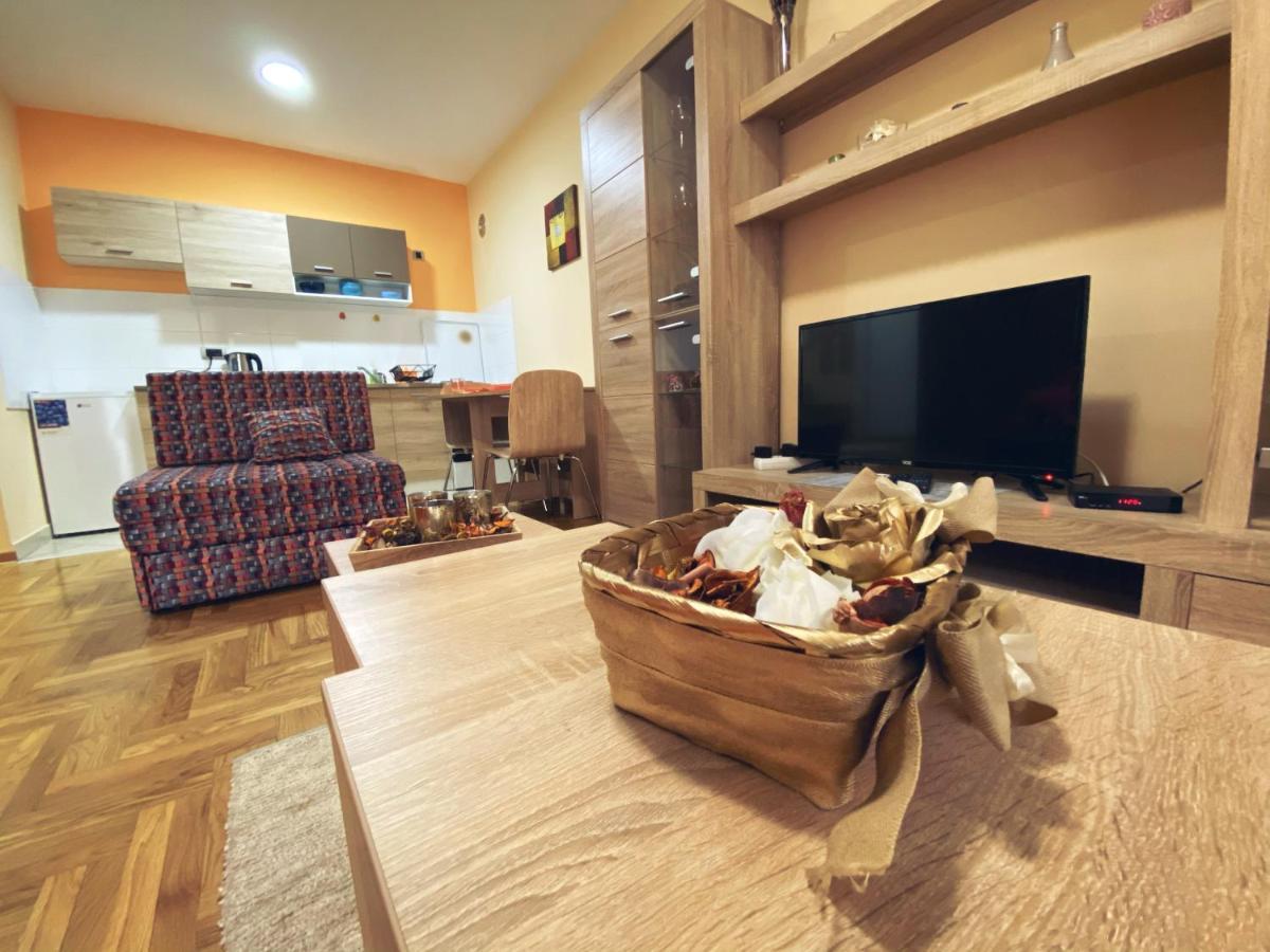 Apartment Vas Raj Nowy Sad Zewnętrze zdjęcie