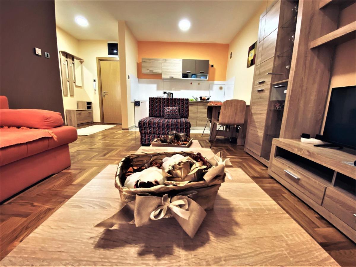 Apartment Vas Raj Nowy Sad Zewnętrze zdjęcie