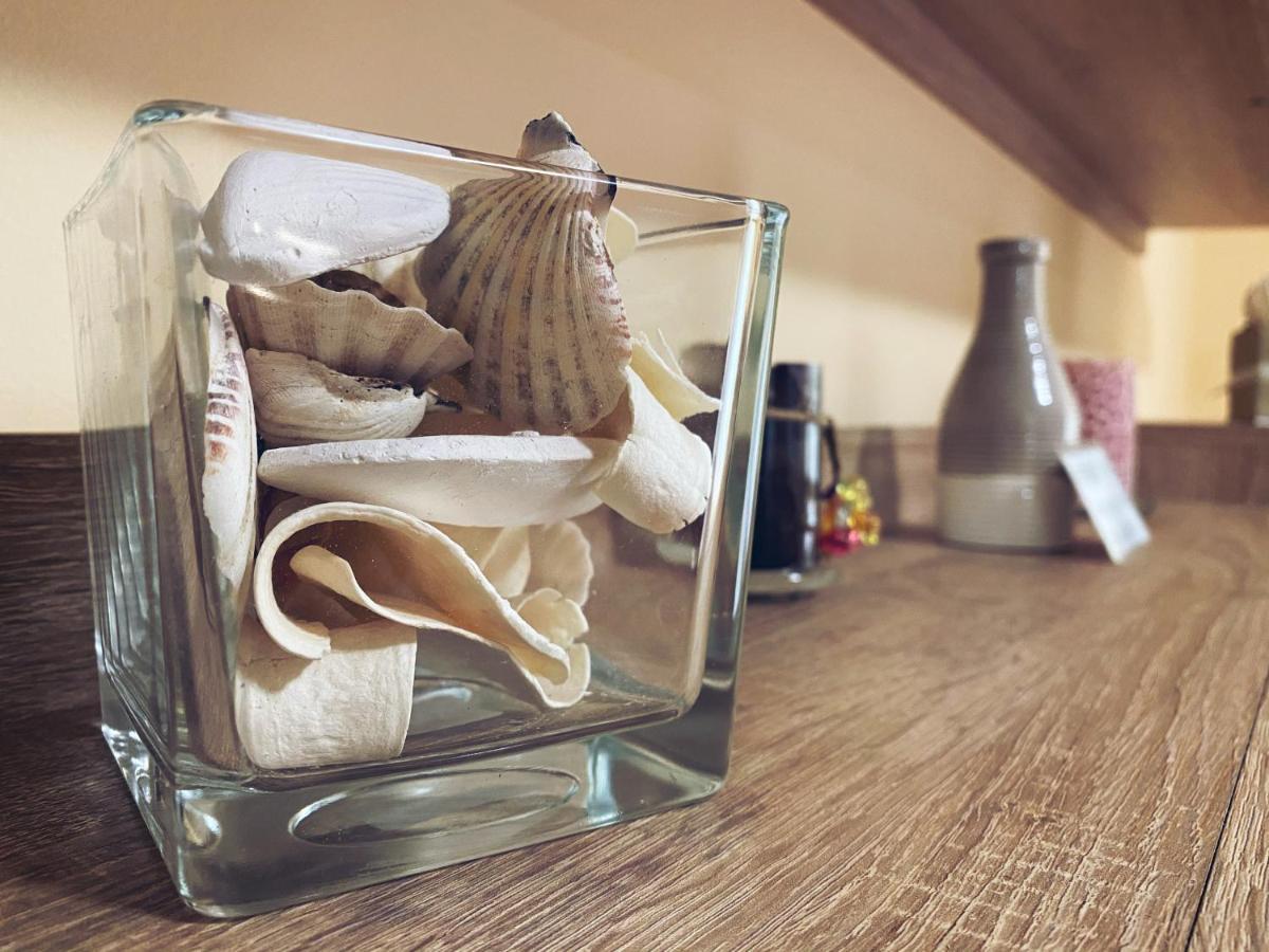 Apartment Vas Raj Nowy Sad Zewnętrze zdjęcie